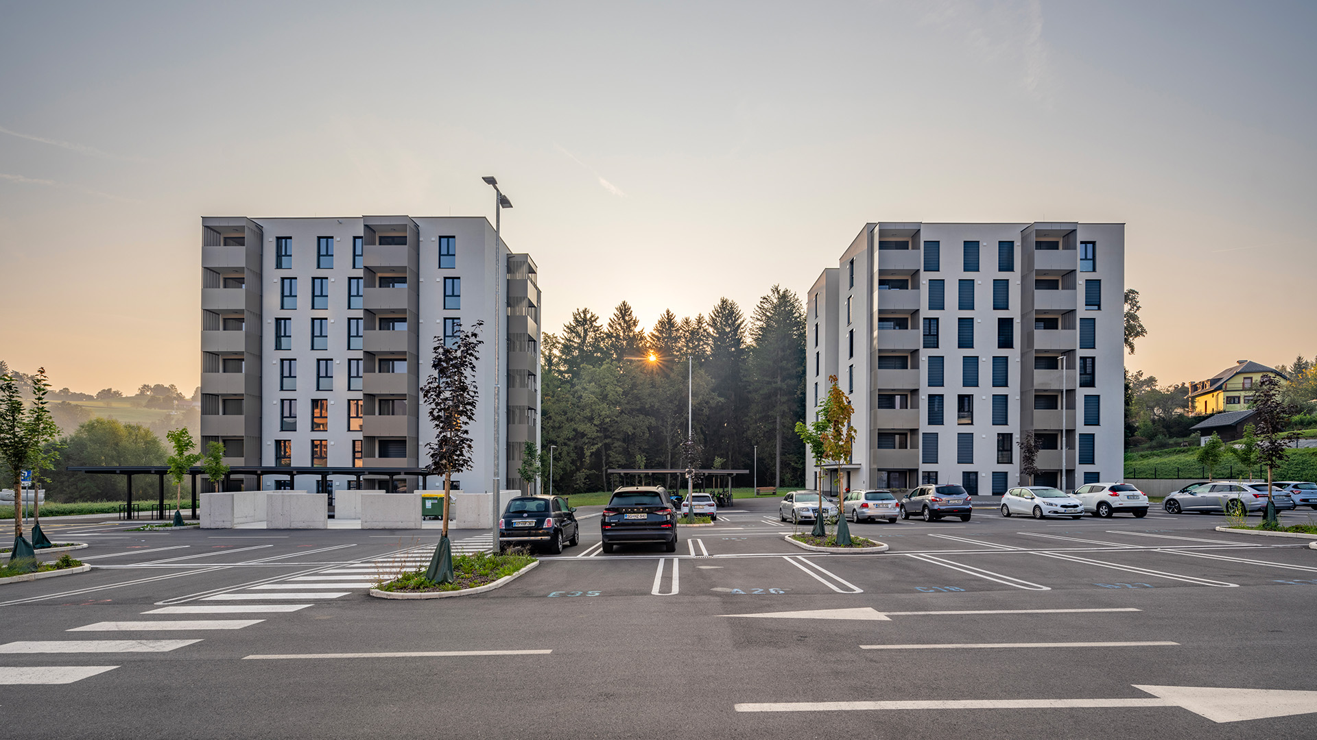 Vrata Javornika